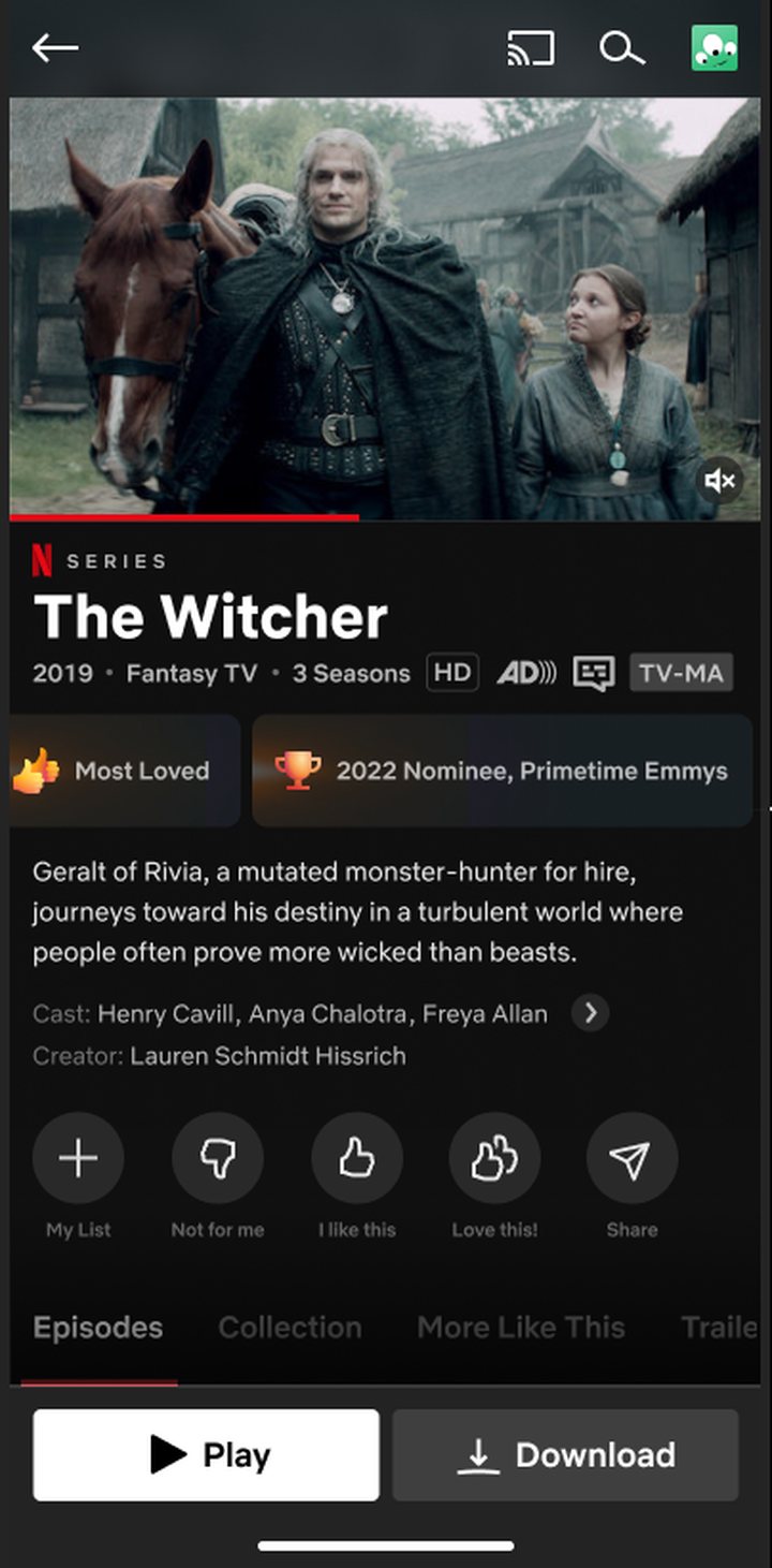 Mobile detail page for the Witcher